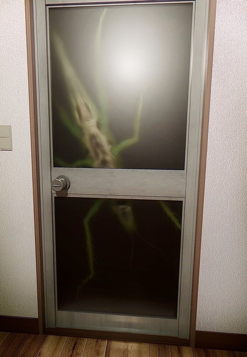 집 나가려는데 문에 이런거 있으면 나가냐?_1.jpg
