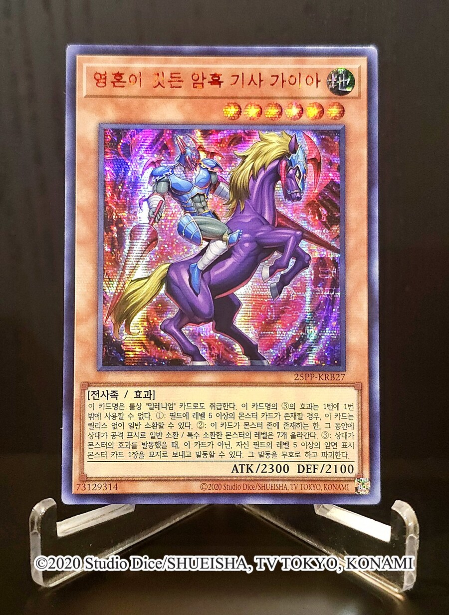 프리미엄 팩 2025 2nd) 알베르 어나더 일러 포함 5장_2.jpg