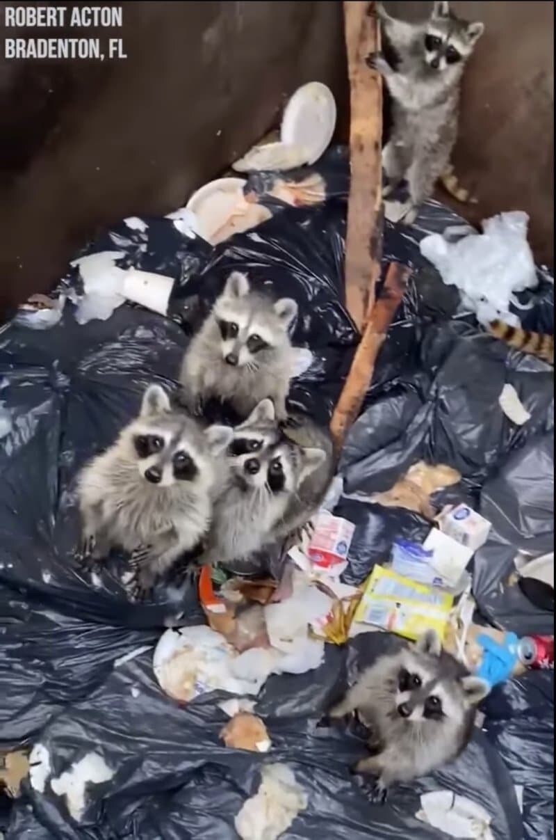 히히 이 작품들을 추천하면 유게이들이 좋아하겠지?_10.png