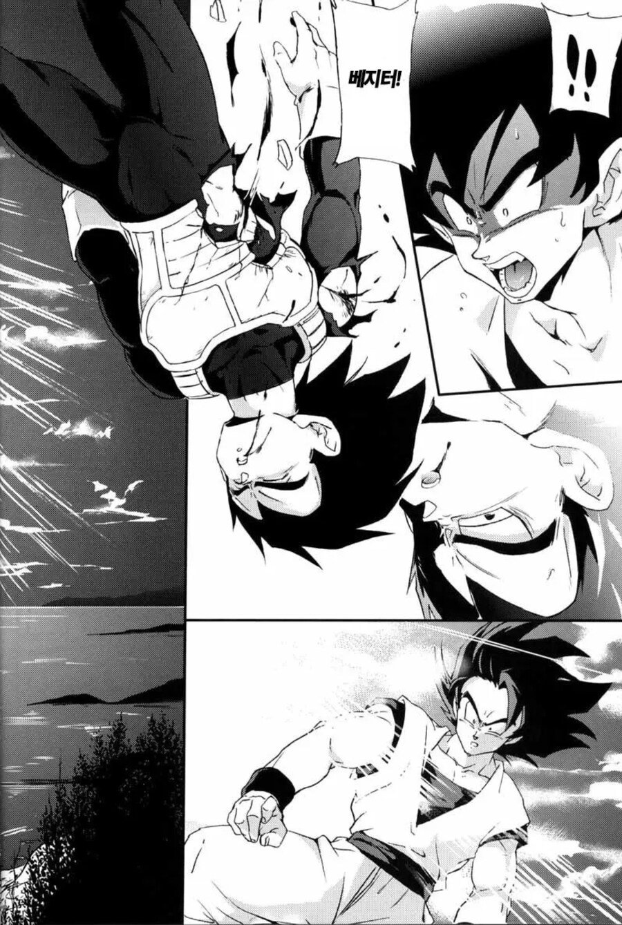 손오공과 배지터가 싸우는 manhwa_4.jpg