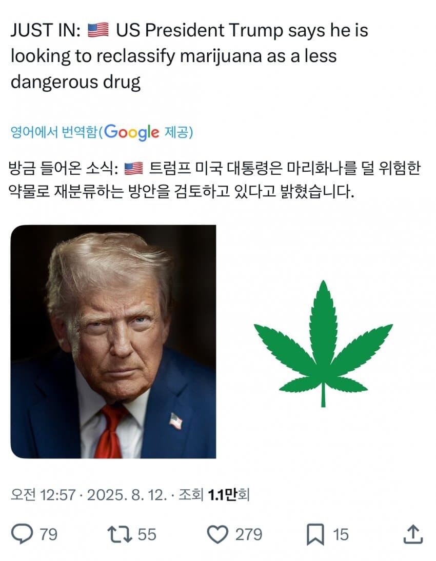 오늘도 평화로운 아메리카_1.jpg