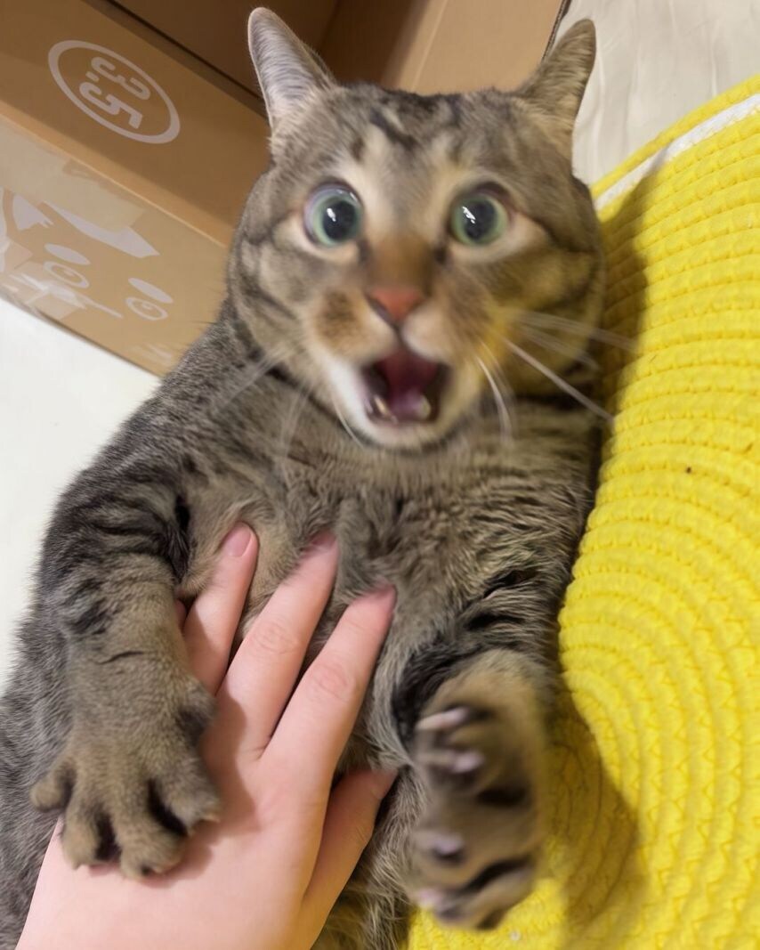 나도 혐오글 올리긴 하는데_1.jpg