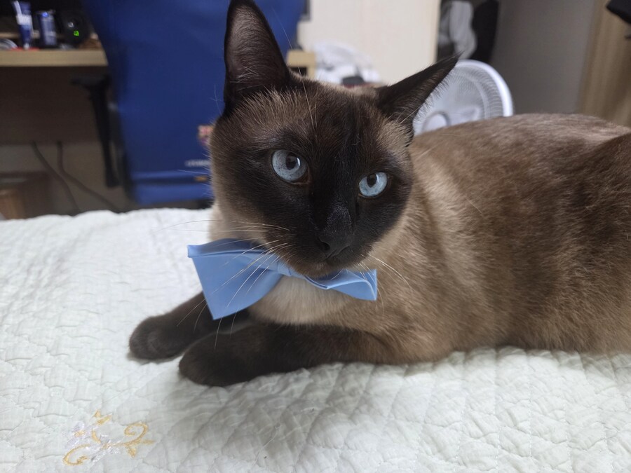 귀여우면 저녁 먹음_6.jpg