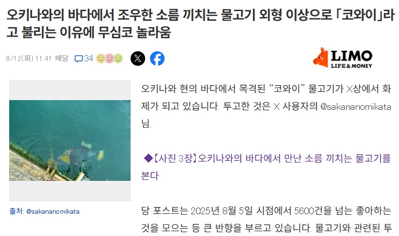 일본 열도를 공포로 몰아 넣은 공포의 물고기 jpg_2.png