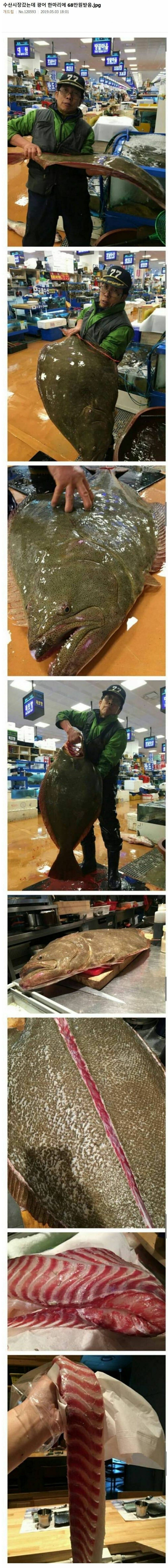 68만원 짜리 광어_1.jpg