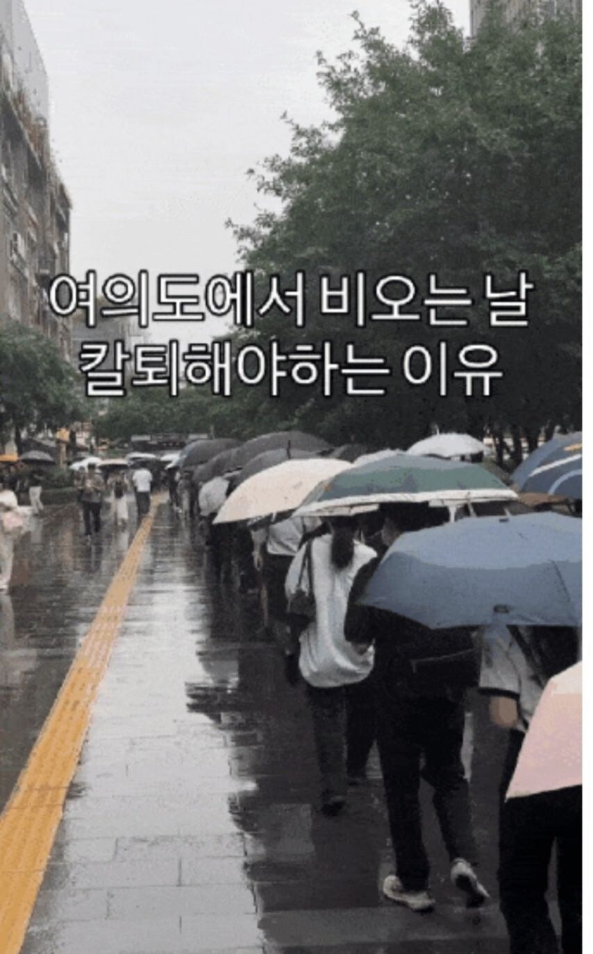 서울은 진짜 이럼?_1.jpg