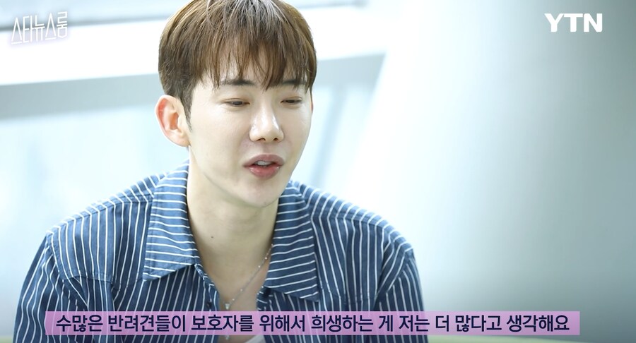 사실은 반려견들이 희생하는거라는 연예인 .jpg_6.png