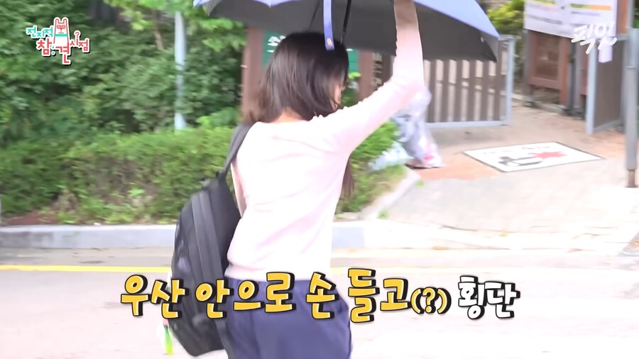 유튜브) 댕댕미 터지는 이세희_1.png