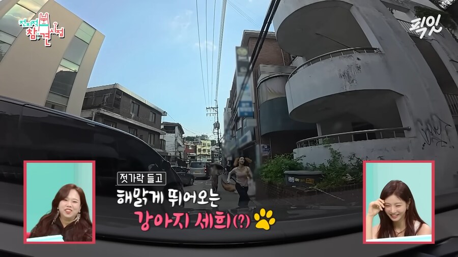 유튜브) 댕댕미 터지는 이세희_24.png