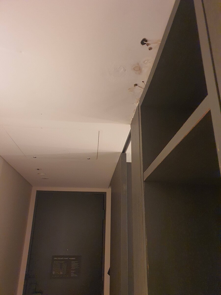 4성급 호텔 룸에서 버섯 자람.blind_2.jpg