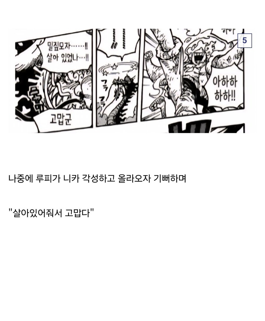 원피스 정상결전 샹크스 흑막설이 진지한 가설인 이유.jpg_6.jpg