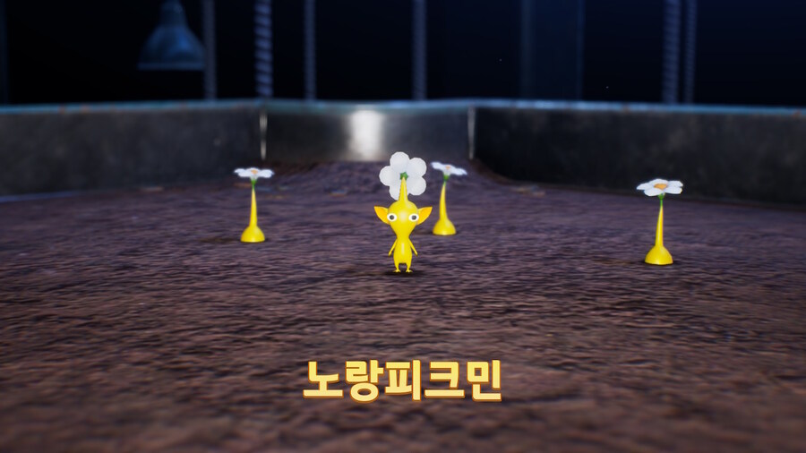 에르후 피크민_1.jpg