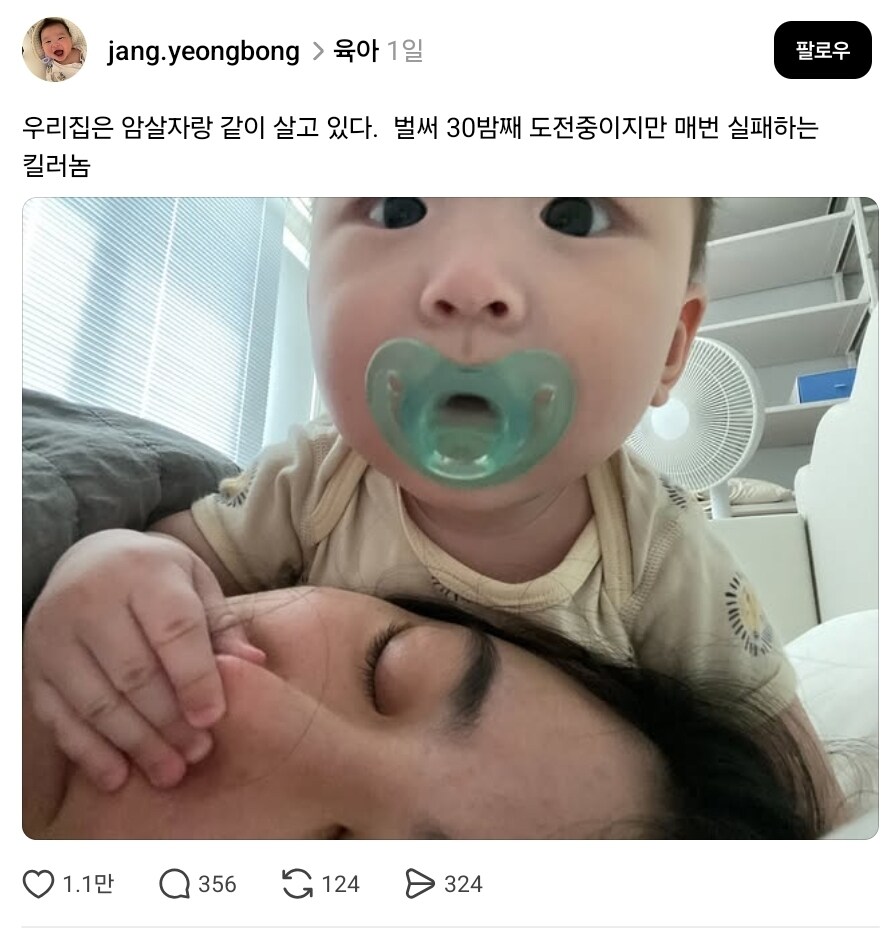 집에서 같이 사는 암살자