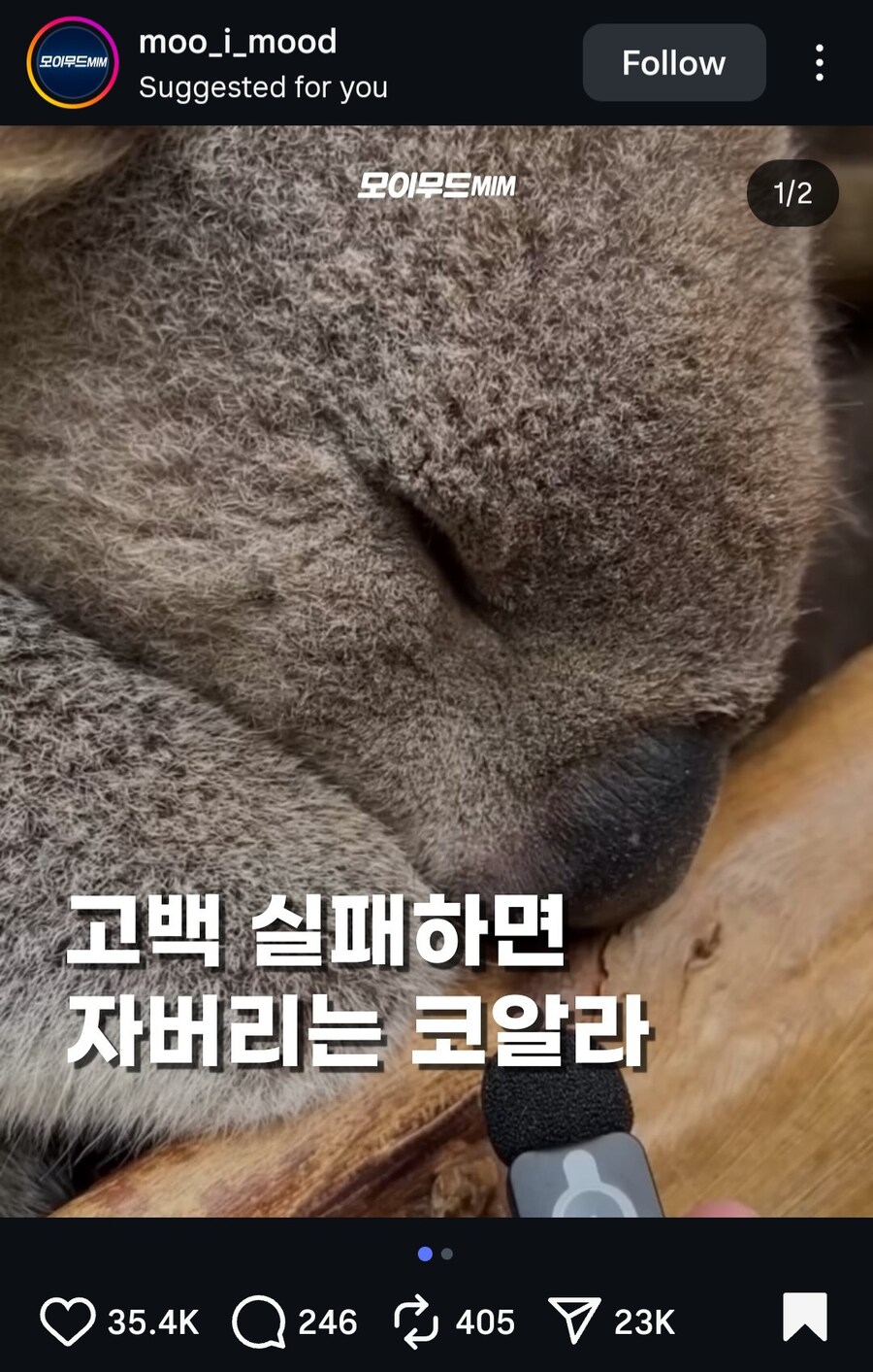 유게이들이 잠이 많은 이유_1.jpg