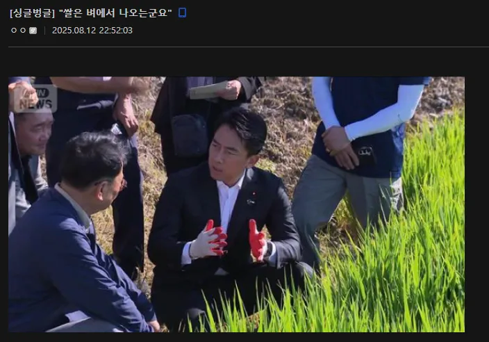 쌀은 벼에서 나오는군요_1.webp