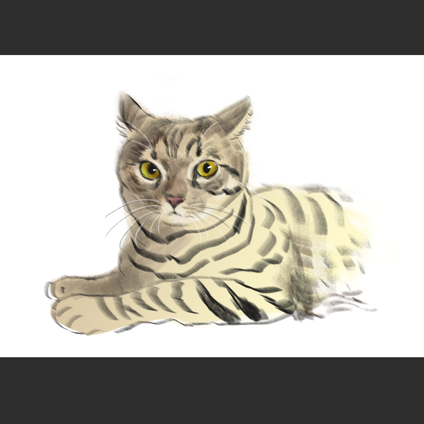 고양이) 넘으집 고양이_1.png