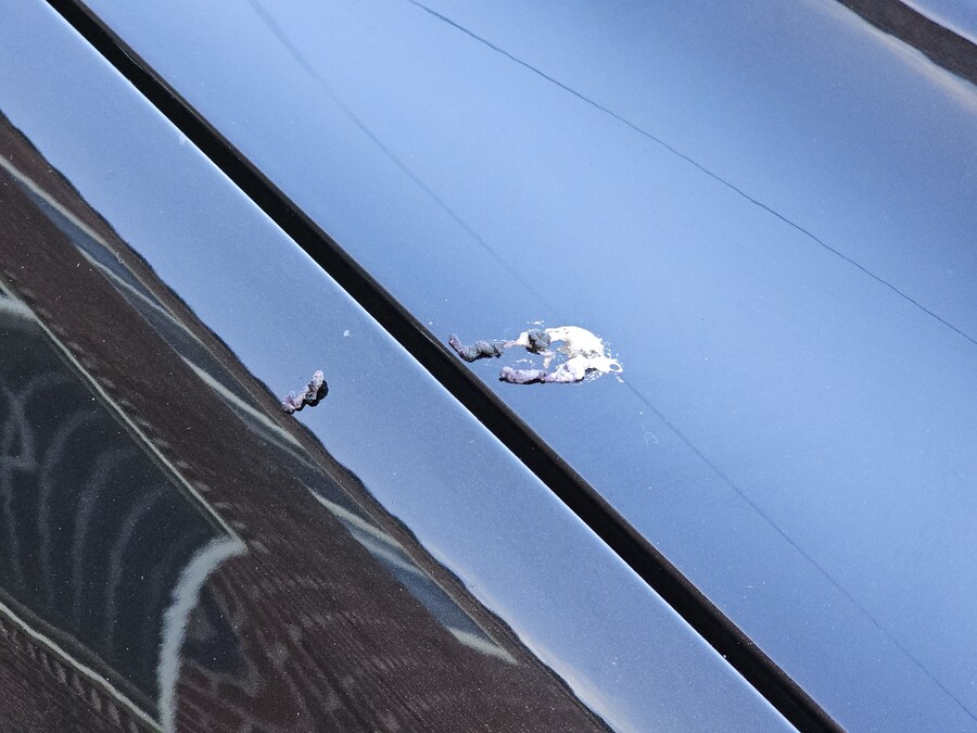 그돈씨의 끝 똥츠 S500L 3년간의 기록_71.jpg