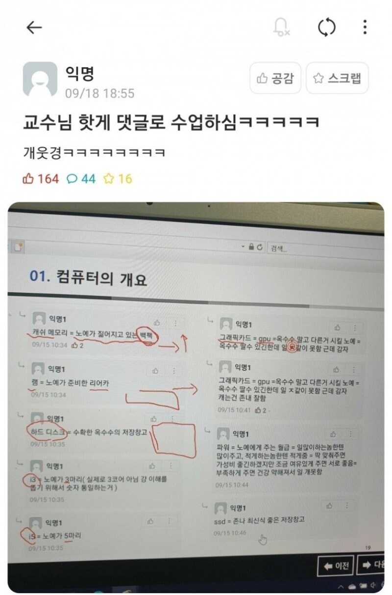 교수도 감탄한 에타 댓글.jpg_1.jpg