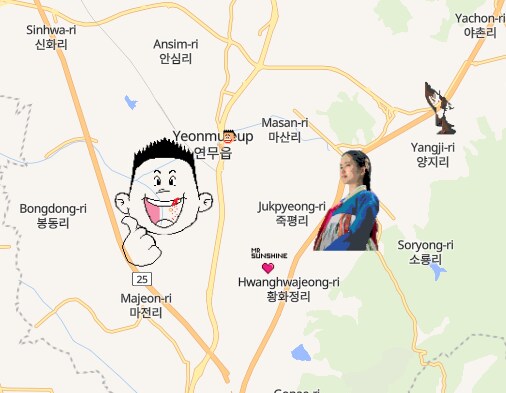 도트 지도 사이트 우리 동네에는 뭐 찍혔나 봤더니_1.png