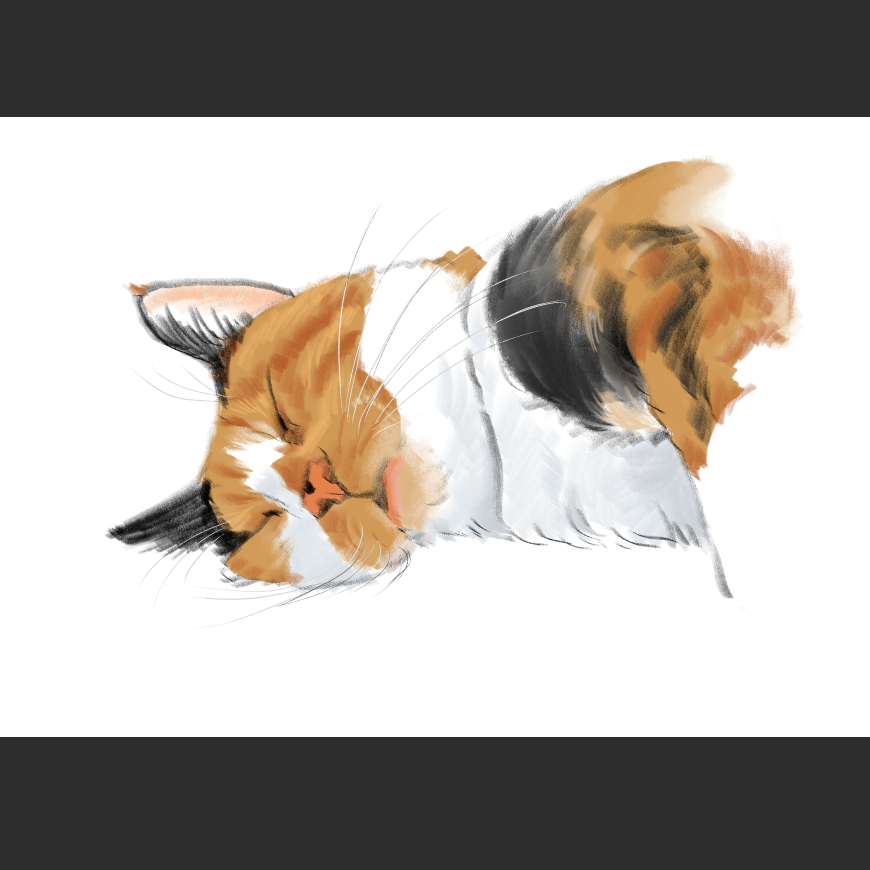 고양이) 넘으집 고양이_1.png