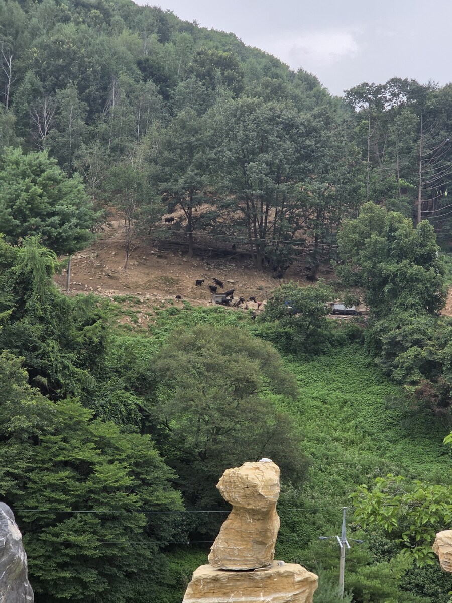 평창 솔캠 다녀왔습니다_11.jpg