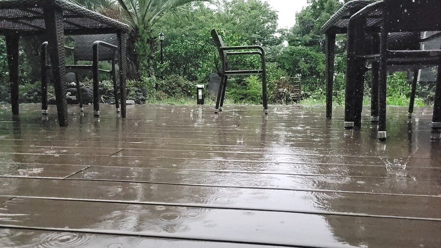 음게에 처음써보는 먹으러 떠난 제주도(죄수번호라 죄송합니다)_35.jpg