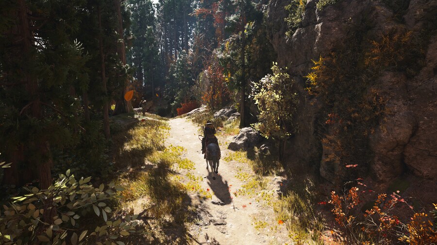 Assassin's Creed® Shadows_1.jpg