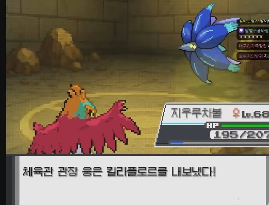 포켓몬 웅이한테 개털린 스트리머.jpg_10.jpg