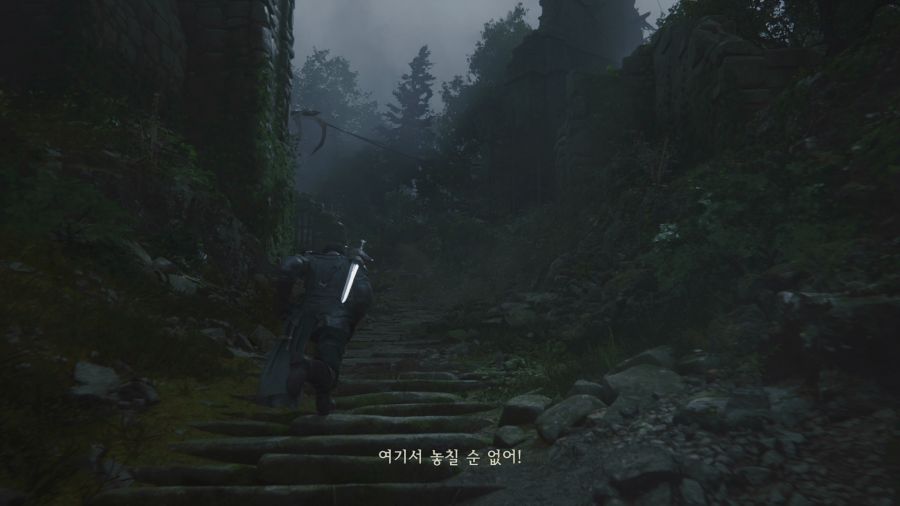 파이널 판타지16_28.png