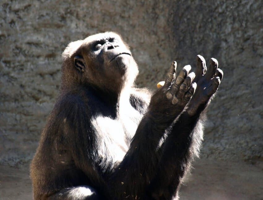 Mcu) 둠스데이 정보가 점점 풀리는 흥미진진 마블 근황_10.jpg