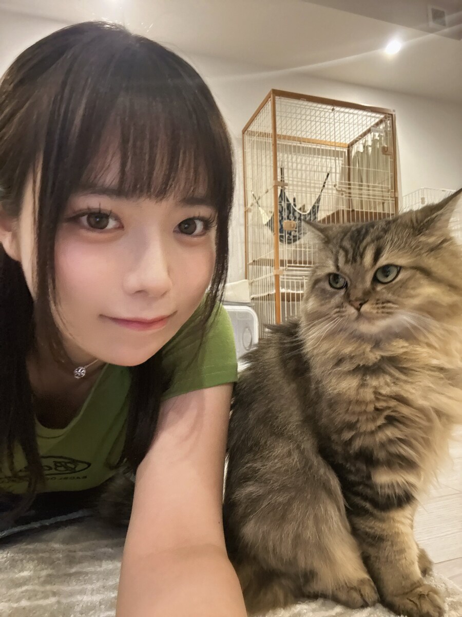 열도의 고양이 jpg_1.jpg
