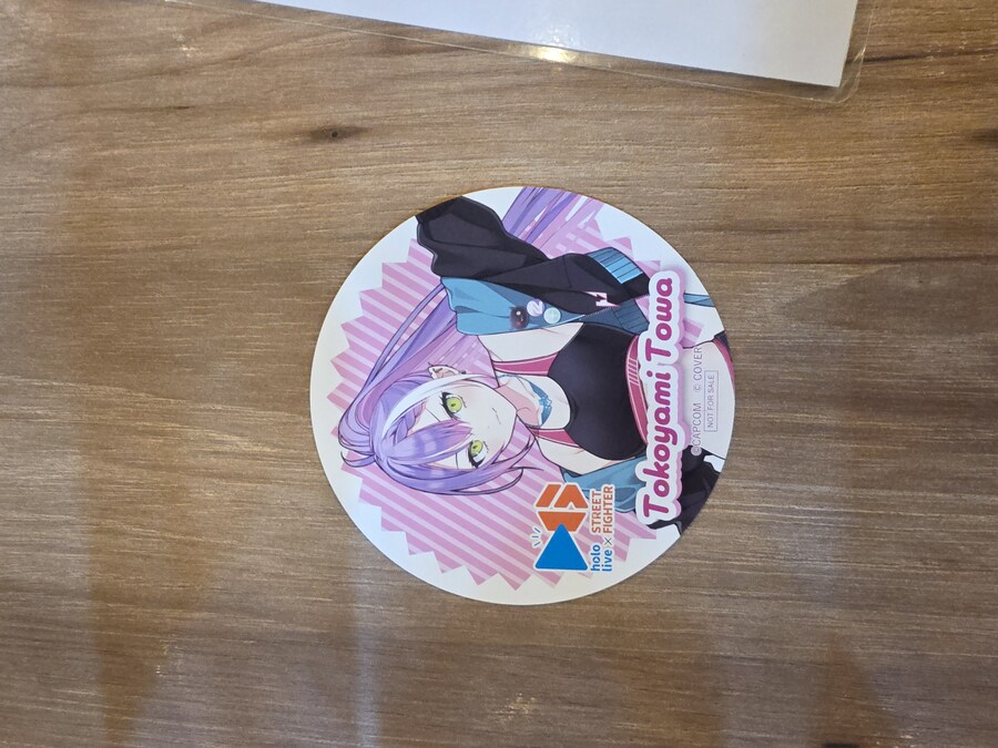 버튜버/초스압)카나타 라이브 관람 겸 여행 후기_91.jpg