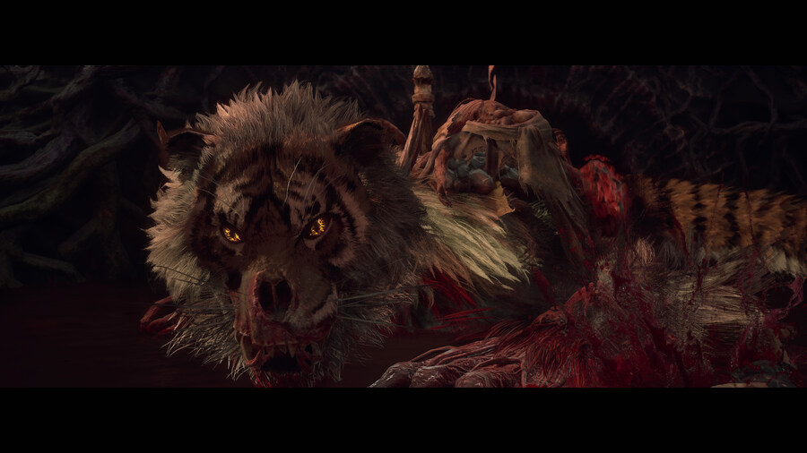 명말 공허의 깃털 - 의상인가 속옷인가(ps5프로)_18.jpg