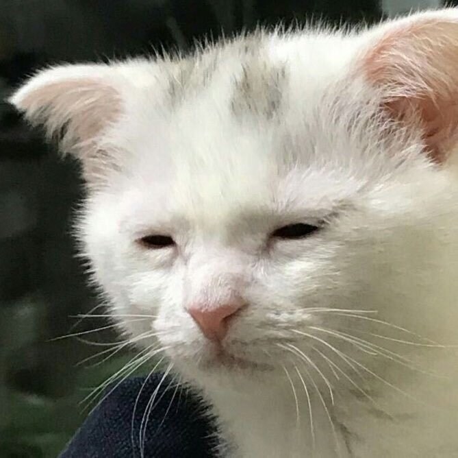 고급 자폭기 수리 [메탈콤보짖 윙 건담 수리]_51.png