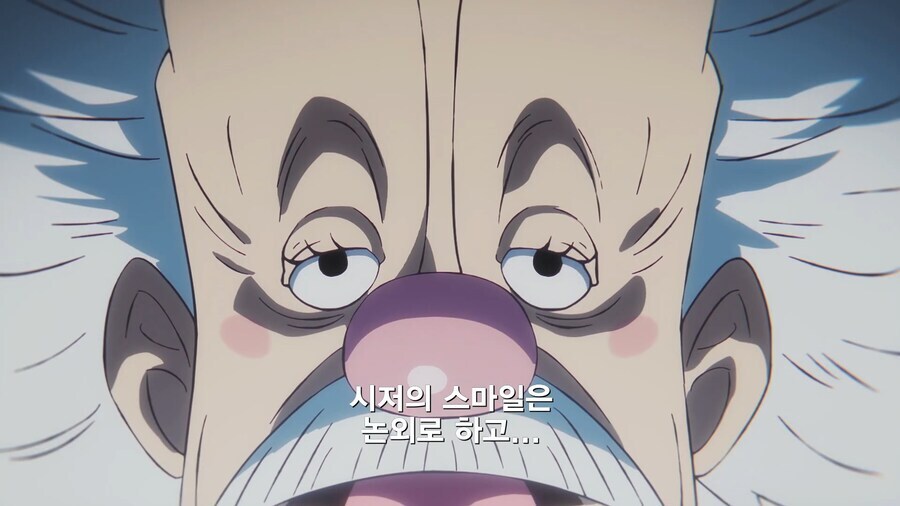 원피스) 루피 일행이 가장 싫어하는 임시 동료_1.jpg