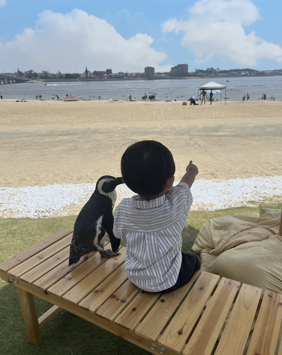 펭귄과 함께_1.jpg