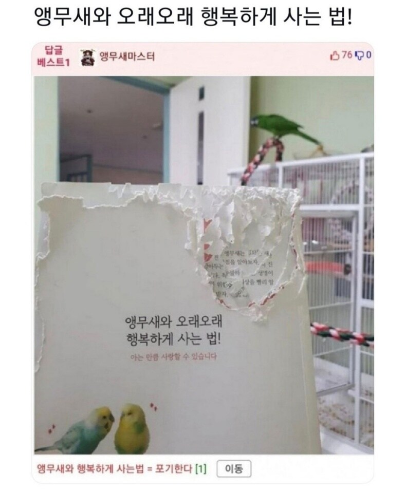 앵무새와 오래오래 행복하게 사는 법_1.jpg