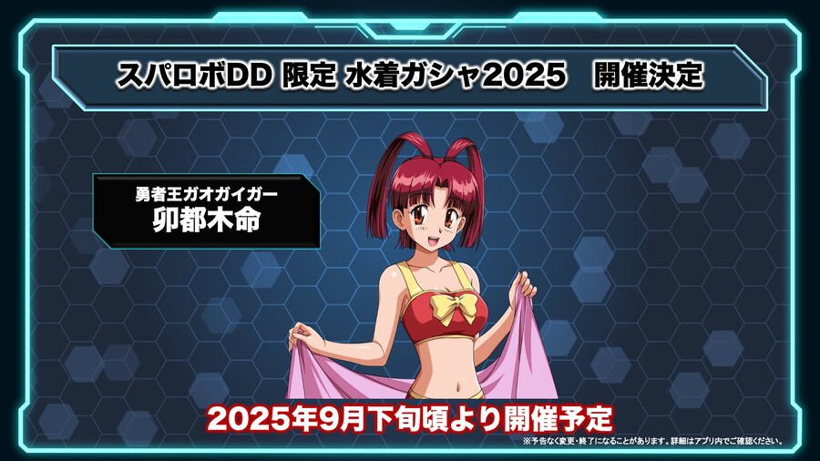 슈퍼로봇대전 시리즈 정보국 DD 정보_2.jpg