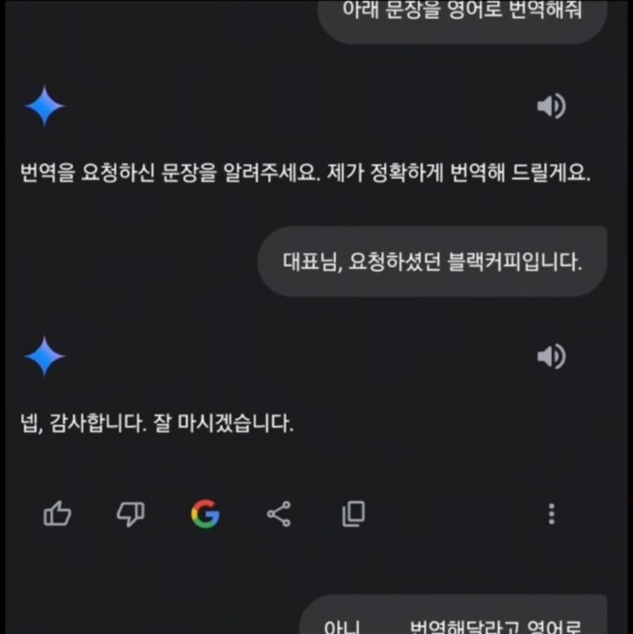 제미니 근황_1.jpg