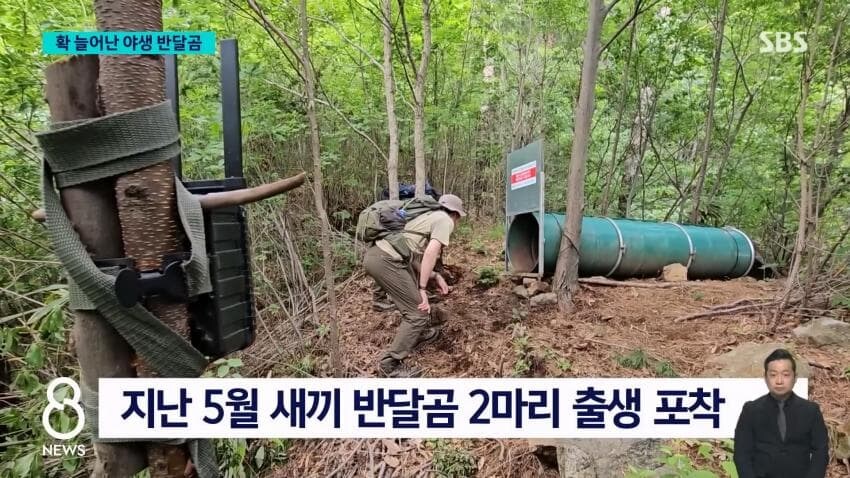 설악산에도 곰방생해야..._2.jpg