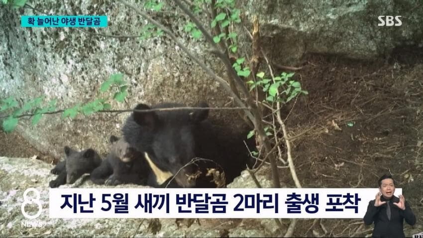 설악산에도 곰방생해야..._3.jpg