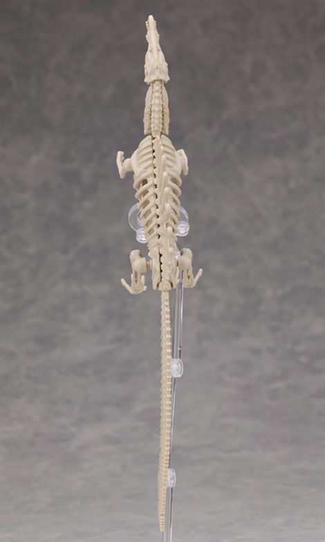 프라노사우루스 쥬라기 월드 스피노사우루스 해외 리뷰_13.jpg