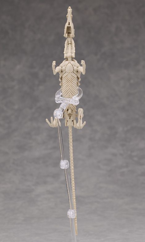 프라노사우루스 쥬라기 월드 스피노사우루스 해외 리뷰_14.jpg