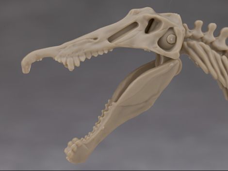 프라노사우루스 쥬라기 월드 스피노사우루스 해외 리뷰_16.jpg