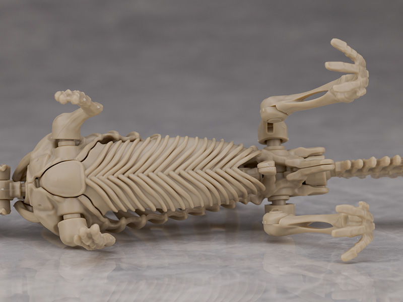 프라노사우루스 쥬라기 월드 스피노사우루스 해외 리뷰_22.jpg