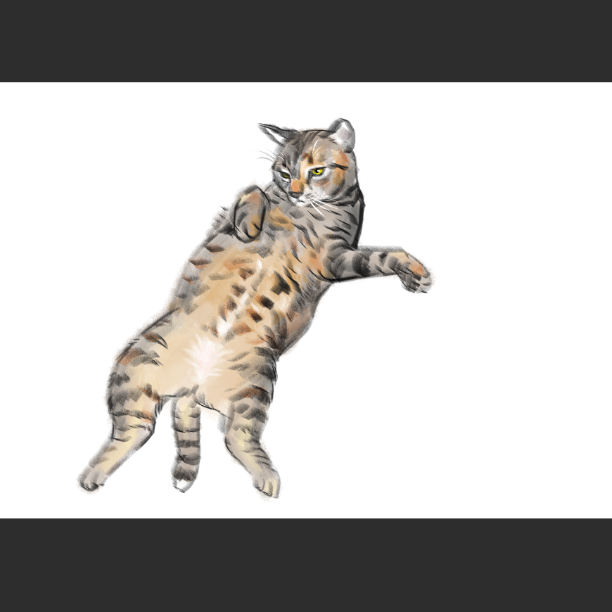 고양이) 넘으집 고양이_1.png