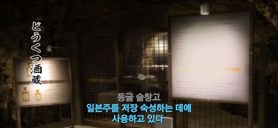 [갑자기 여행] 평화로운 솔로여행_26.jpg