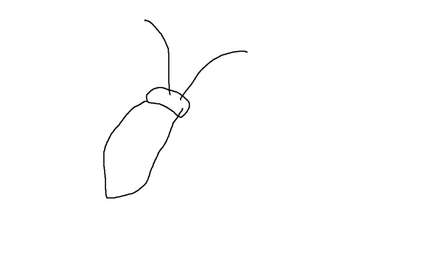 미친 방충망 밖에서 자꾸 틱틱 소리나서 보니까_1.png