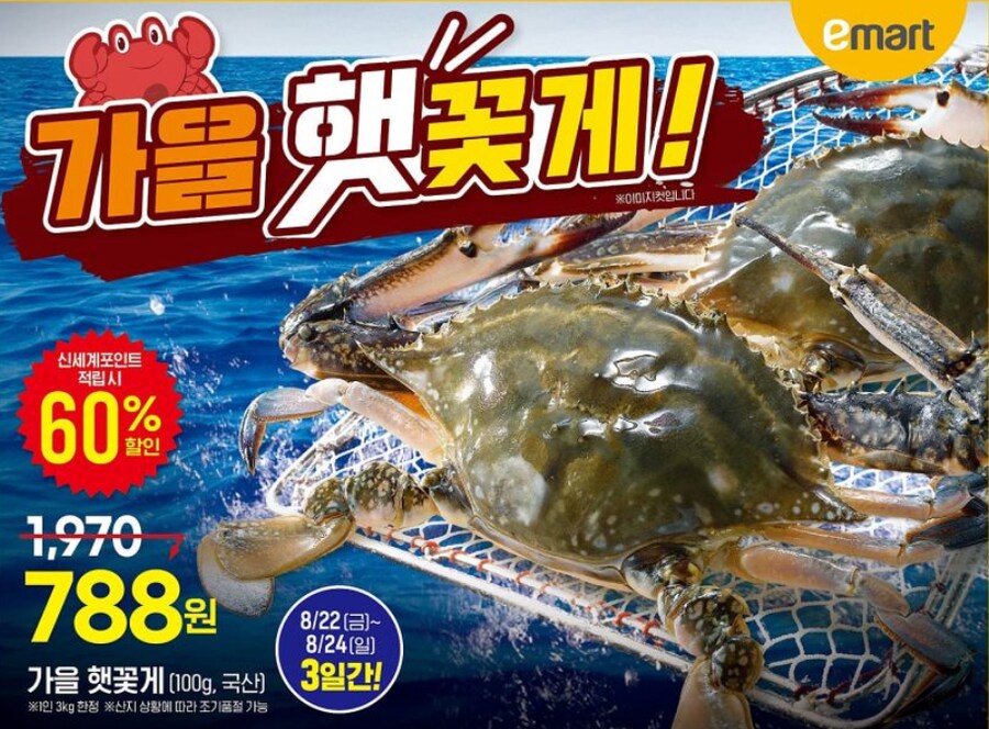 마트) 이번주 헤드라인_1.png