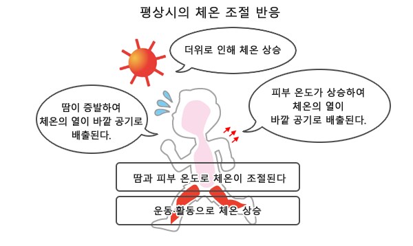 왜 더운날 걷다가 멈추면 땀이 더 날까?_1.png